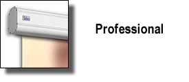 PROFESSIONAL ELECTRIC MOTORIZED SCREEN BY ADEO